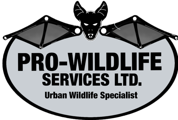 pro-wildlife.png